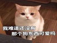 邵东市英耀暖通设备工程有限公司