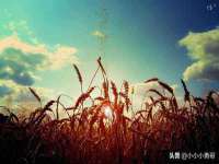邵东市英耀暖通设备工程有限公司