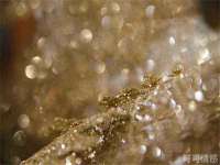 邵东市英耀暖通设备工程有限公司