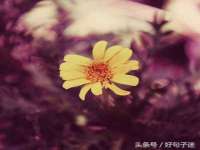 邵东市英耀暖通设备工程有限公司