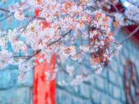 邵东市英耀暖通设备工程有限公司