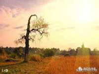 邵东市英耀暖通设备工程有限公司