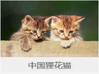 邵东市英耀暖通设备工程有限公司