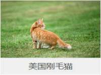 邵东市英耀暖通设备工程有限公司