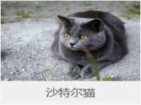 邵东市英耀暖通设备工程有限公司