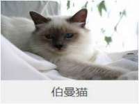 邵东市英耀暖通设备工程有限公司