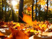 邵东市英耀暖通设备工程有限公司