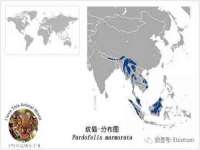 邵东市英耀暖通设备工程有限公司