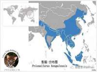 邵东市英耀暖通设备工程有限公司
