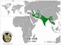 邵东市英耀暖通设备工程有限公司
