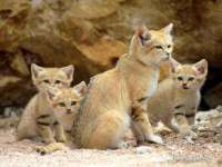 邵东市英耀暖通设备工程有限公司