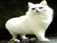 邵东市英耀暖通设备工程有限公司