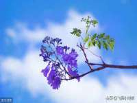 邵东市英耀暖通设备工程有限公司