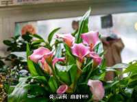 邵东市英耀暖通设备工程有限公司