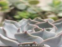 邵东市英耀暖通设备工程有限公司