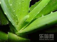邵东市英耀暖通设备工程有限公司