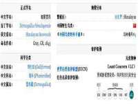 邵东市英耀暖通设备工程有限公司