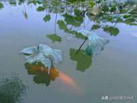 邵东市英耀暖通设备工程有限公司