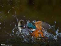 邵东市英耀暖通设备工程有限公司
