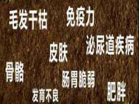 邵东市英耀暖通设备工程有限公司