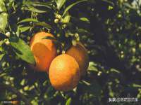 邵东市英耀暖通设备工程有限公司