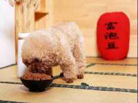 邵东市英耀暖通设备工程有限公司