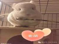 邵东市英耀暖通设备工程有限公司