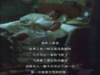 邵东市英耀暖通设备工程有限公司