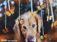 邵东市英耀暖通设备工程有限公司
