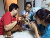 邵东市英耀暖通设备工程有限公司