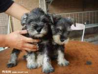 邵东市英耀暖通设备工程有限公司