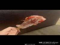邵东市英耀暖通设备工程有限公司